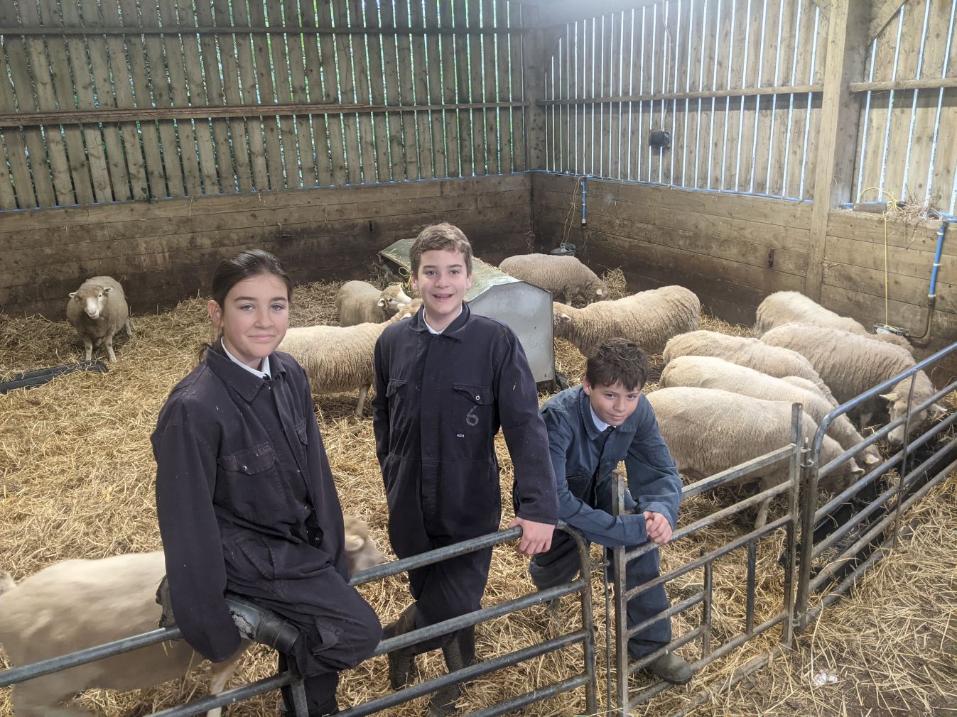 school-farm-open-day-biosphere