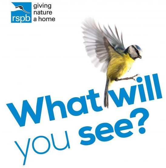 Join In The Rspbs Big Garden Birdwatch Biosphere